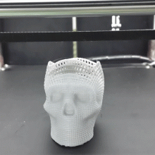 3D Printing-Skull Art-1.75mm PLA Filament(Video)