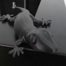 3D Printing-Gecko-Carbon Fiber Filament